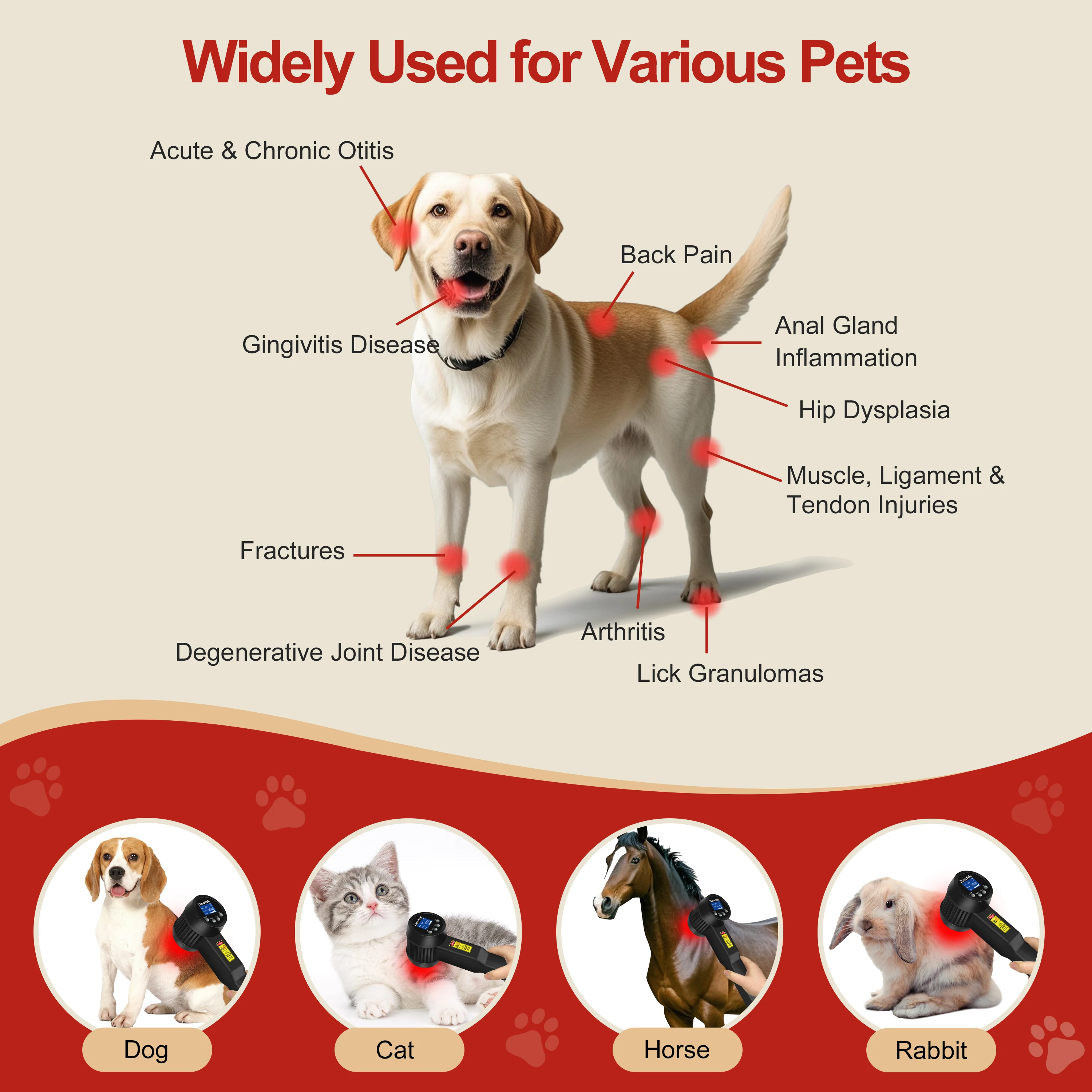 NEW2026 Class 4 Cold Laser Therapy 5 Watt Equipo Low Level Light Mls Technology Vermelha Veterinary Porttil Lllt Traumas 905nm H