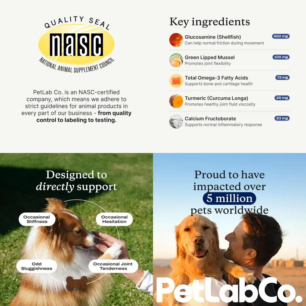 

Премиальные добавки для поддержки суставов собак с глюкозамином, зеленогубчатыми мидиями и куркумой для улучшения подвижности (2 упаковки)