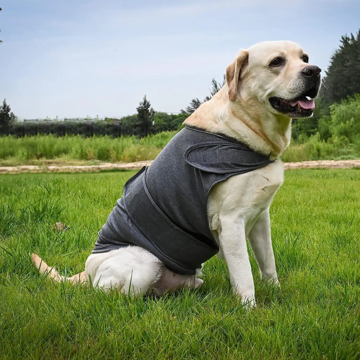 

Dog Anxiety Vest, Skin-Friendly Dog Calming Shirt for Thunder - Anxiety Calming Hoodie For Puppy,Reduces Anxiety & Keep Calm