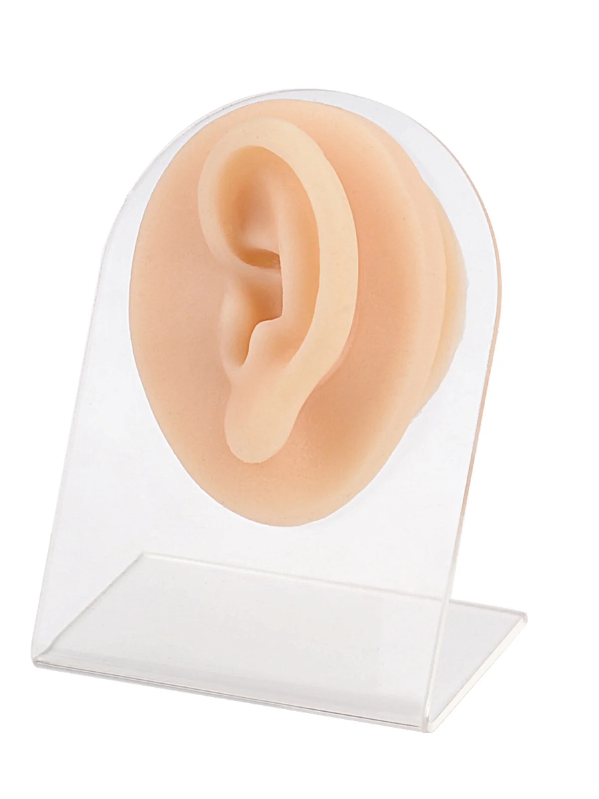 Simulate ear model perforation, puncture, suture practice, ear model, earlobe ring, earring nail display model