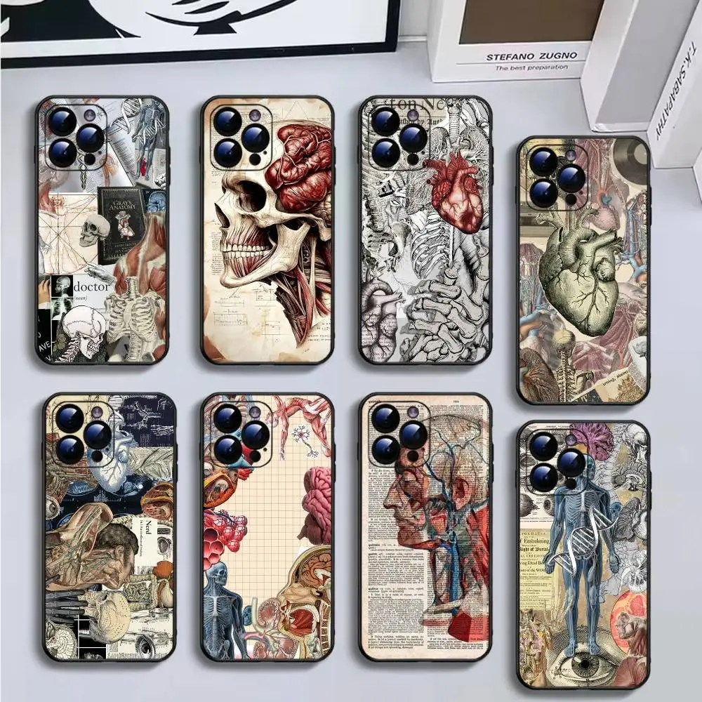 

ilustracion medica Phone Case For iPhone16,15,14,13,12,11 Plus,Pro Max,XS,X,XR,SE,Mini,8,7,Soft Black Cover