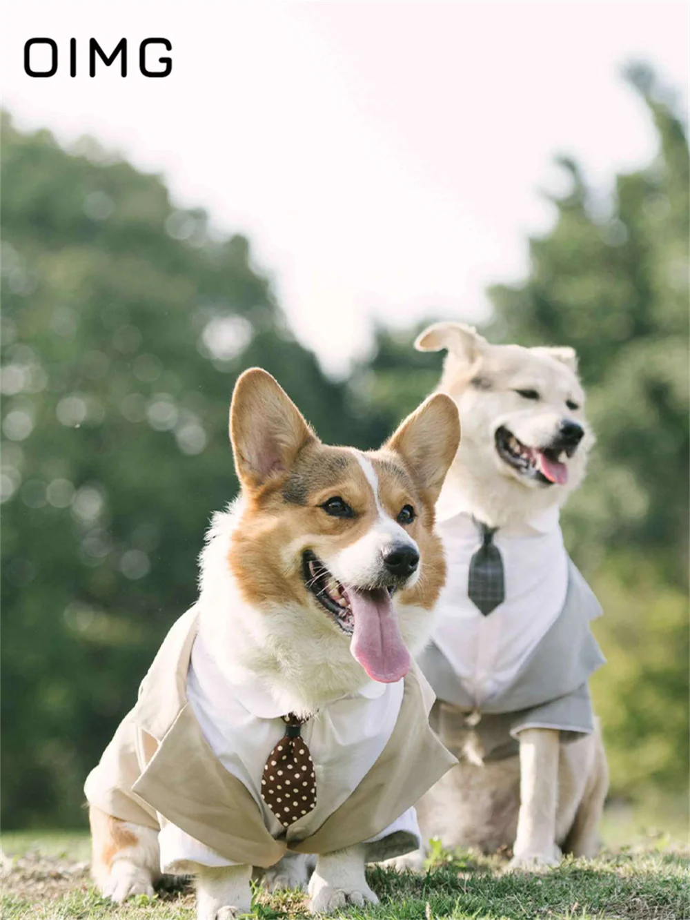 OIMG-Terno de duas peças falso cão com gravata, Pet Tailcoat, Cavalheiro de casamento, Corgi Shiba Inu, Border Collie, cães grandes