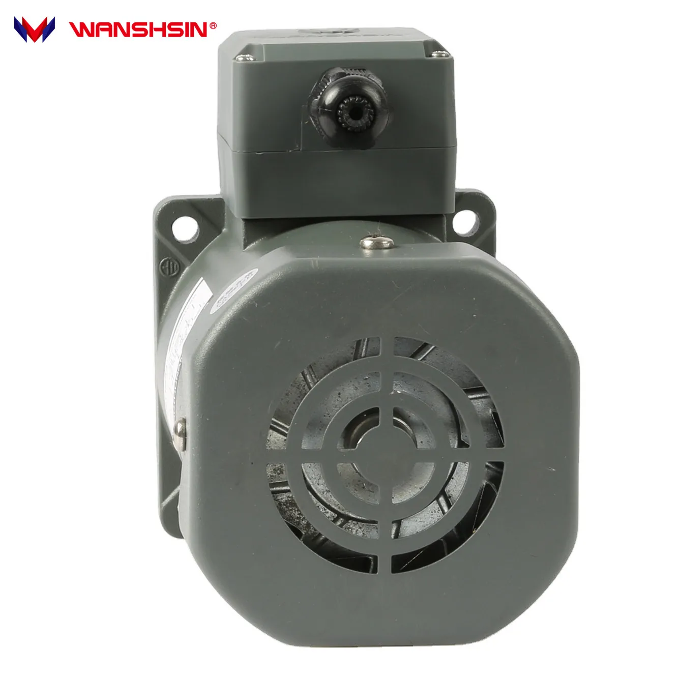 Wanshsin Factory Direct Sales Voltage 40W AC Gear Motor High Torque Speed Reducer