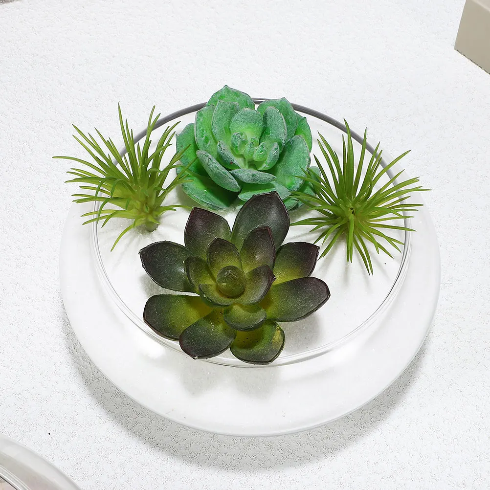 

Daffodil Pot Fish Bowl Planter Small Glass Narcissus Basin Clear Succulents Flower Pots Miss