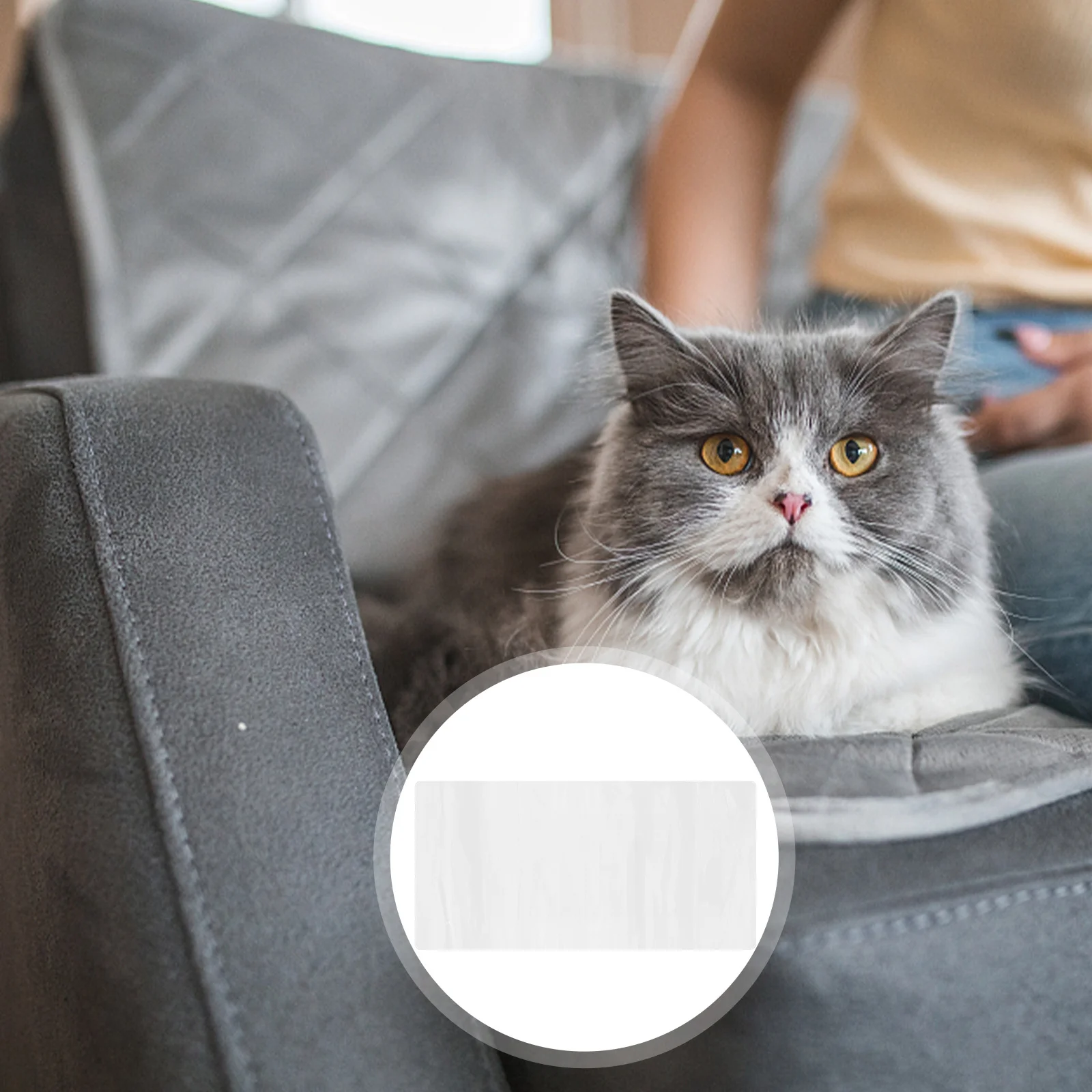 

4Pcs Cat Scratching Stickers Premium PVC Furniture Protectors for Sofa Anti-Scratch Guards Kitten Scratch Prevention Pet