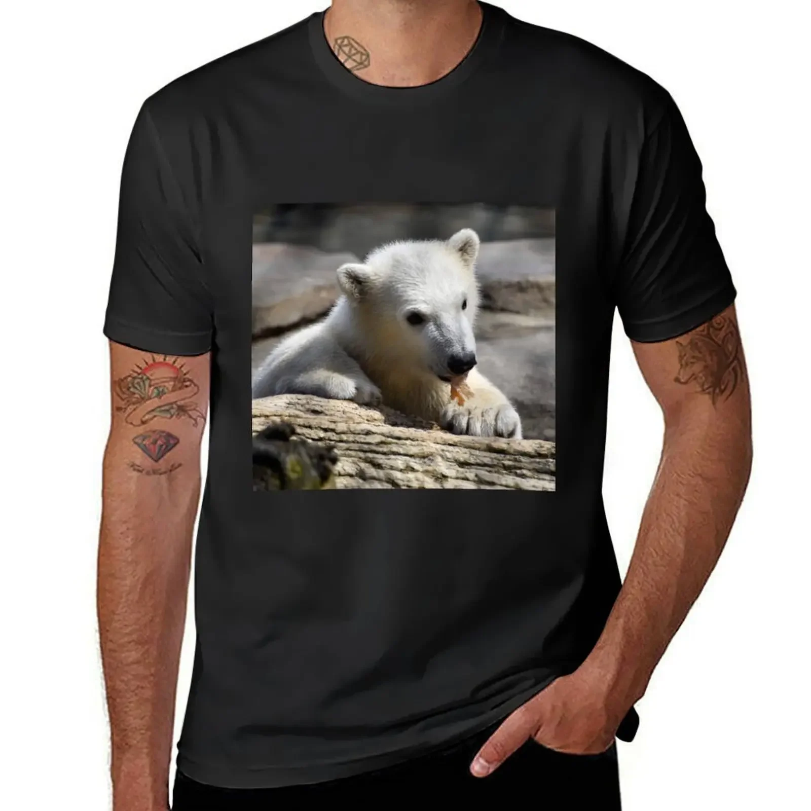 

Polar Bear Cub at the Toledo Zoo T-Shirt sports fans Funny t-shirt anime stuff anime shirts men
