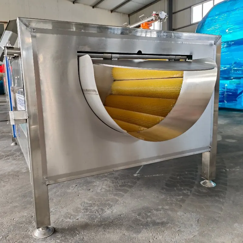 Industrial Potato Carrot Onion Brush Washing and Peeling Machine Ginger Cassava Sweet Potato Washer and Peeler
