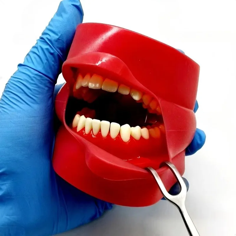 1 Retractor  laboratorio Middledorf  acero inoxidable, retractor  mejillas, herramienta  gancho  esquina  labios