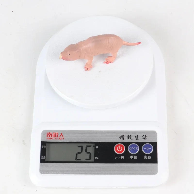 Solid Simulation Naked Mole Rat Wild Animal Model Rat Jungle Thorn Group Mole Rat Model Toy Sand Table Ornaments