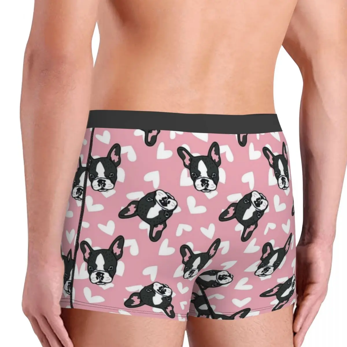 Franse Bulldog Onderbroek Breathbale Slipje Mannelijke Ondergoed Print Shorts Boxer Briefs