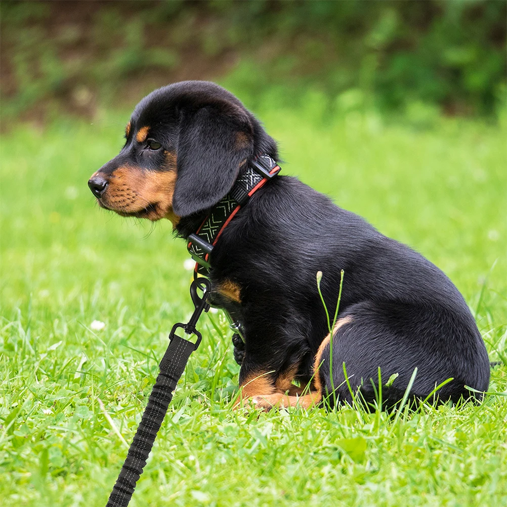 

3pcs Double-headed Traction Rope Pet Reflective Walking Ropes Outdoor Puppy Dog Walking Leash Pet Traction Rope Dog Running