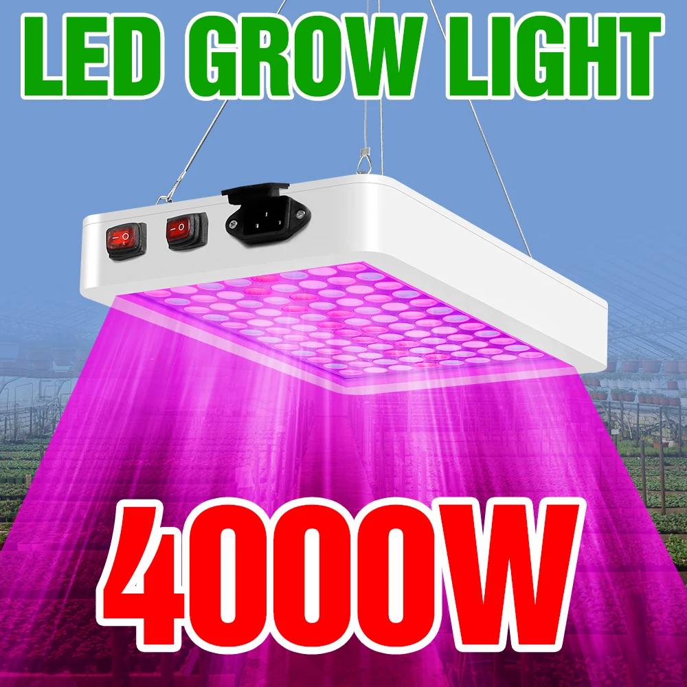 

Светодиодная лампа для выращивания растений 4000 Вт 5000 Вт светодиодный теплиц, светодиодсветильник лампа для выращивания растений SMD 2835, фитолампа для гидропоники, для помещений, овощей, цветов, семян растений