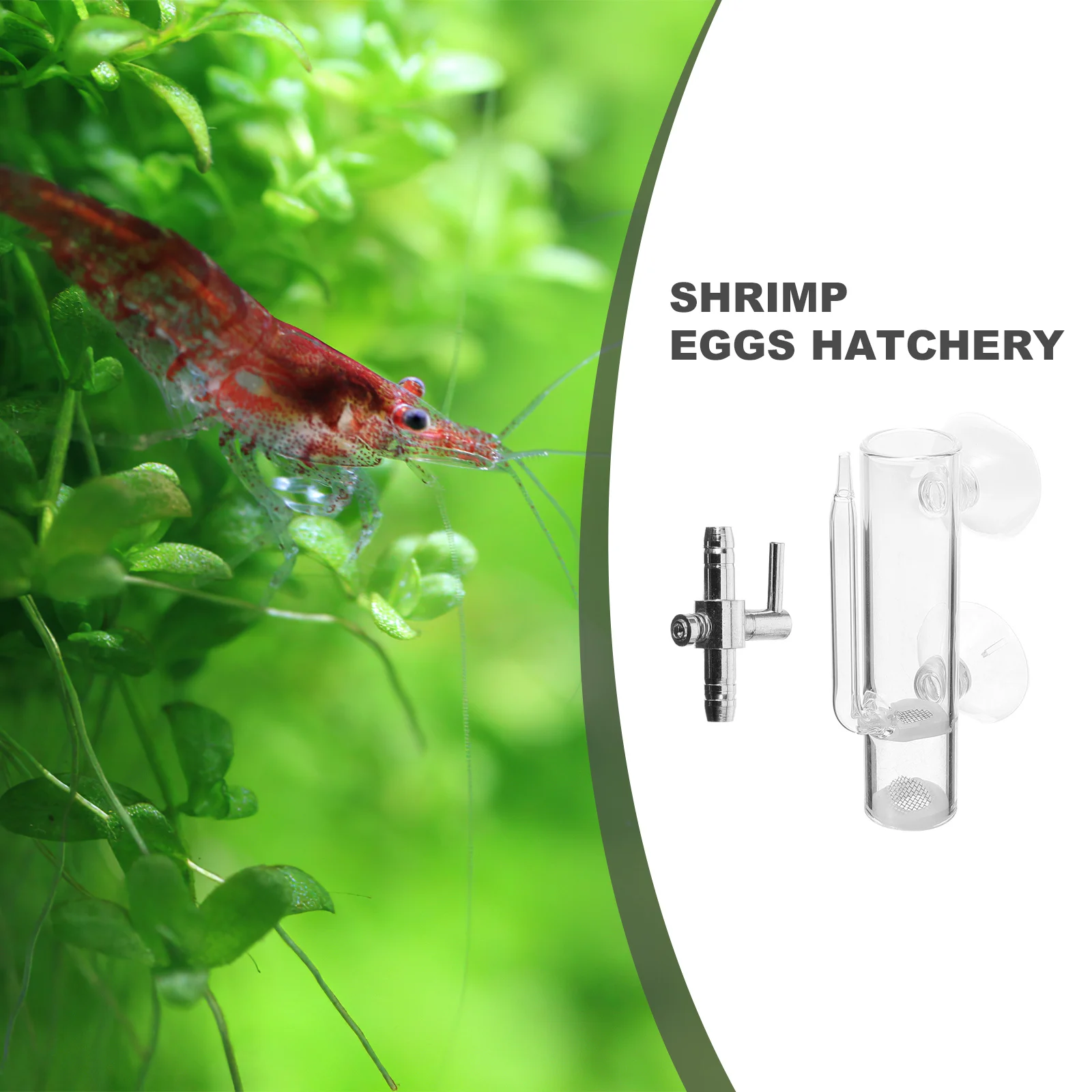 

1Set Glass Shrimp Hatchery Isolation Box Aquarium Breeding Container Fish Tank Shrimp Egg Incubator Survival Enhancer