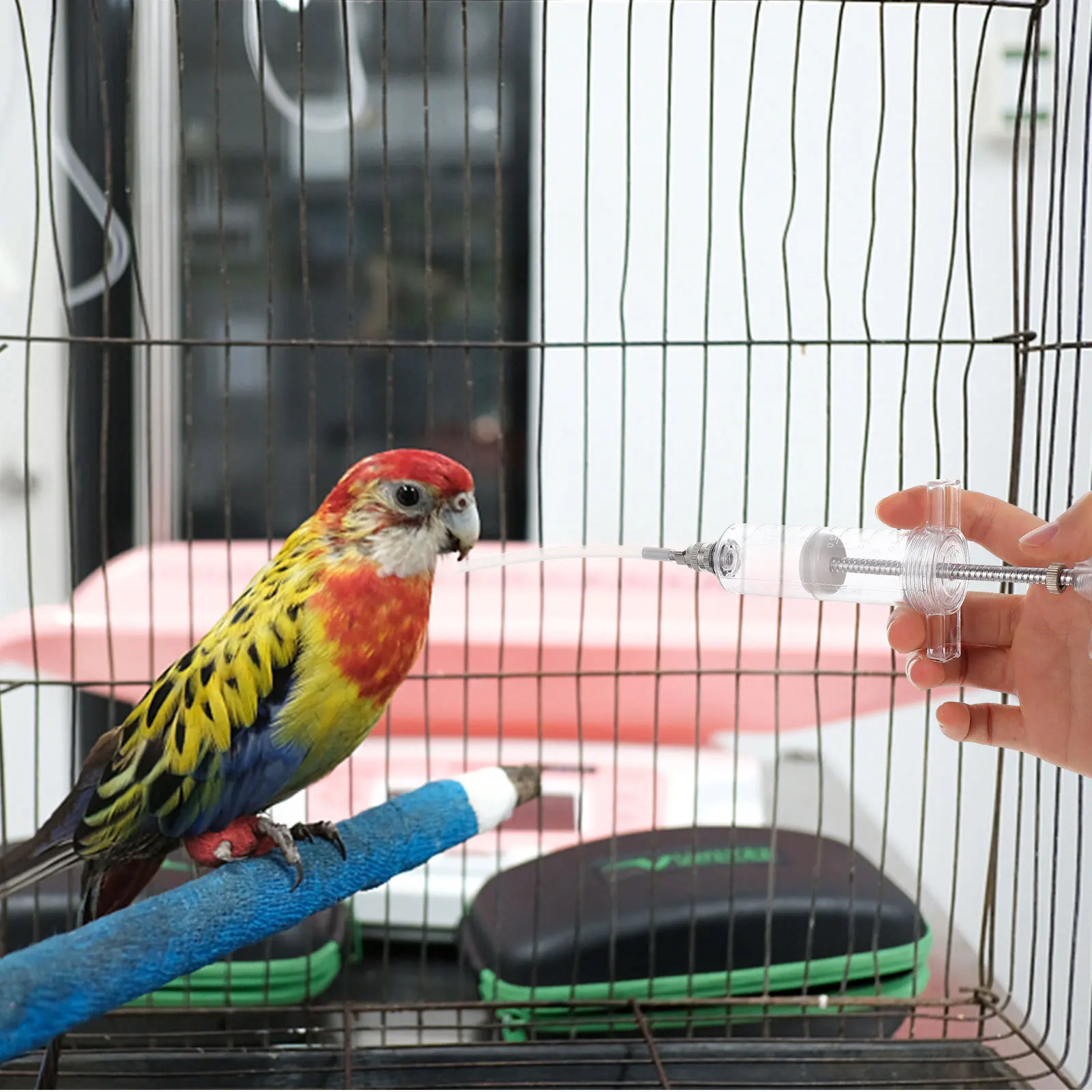 1 مجموعة طفل الطيور تغذية كيت مقياس دقيق أنبوب تغذية اليد للببغاوات الببغاوات كوكاتيل الحليب السائل المغذية #6