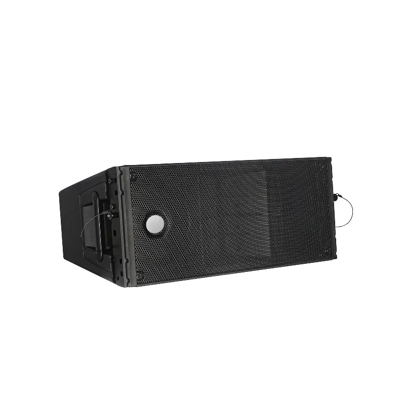 

10 Inch Plastic Active Line Array Speaker Professional Stage Sound System for Live Outdoor Concert Performance