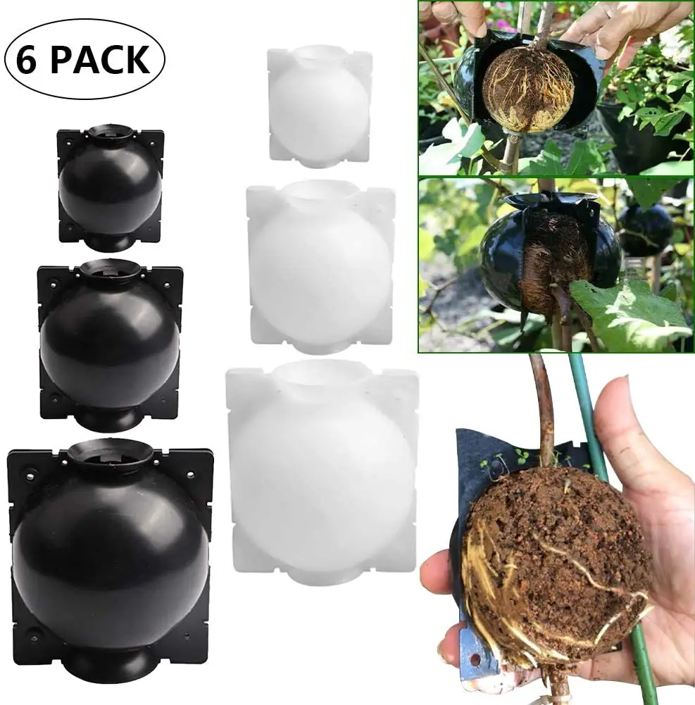 6pc Plant Rooting Ball S-l High Pressure Graft Breeding Case Nursery Box Propagation Jardinage Plant Root Pot Garden Accessories