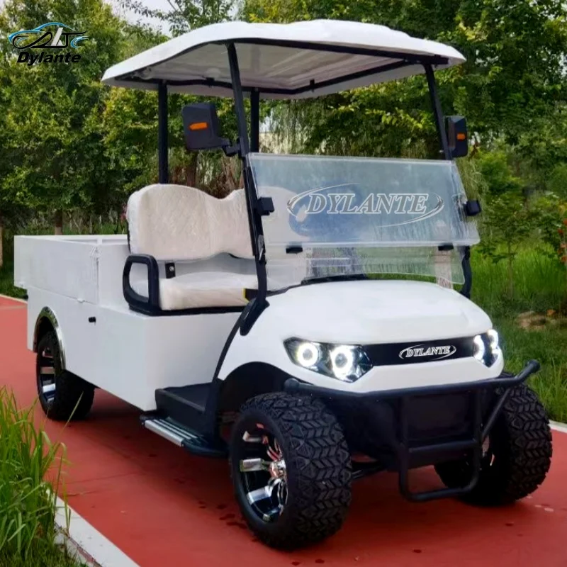 Trusted China Supplier Professional Design 2 Seater 5000W Mini Off-Road Hunting Electric Golf Cart Farmer Cart with Cargo Box