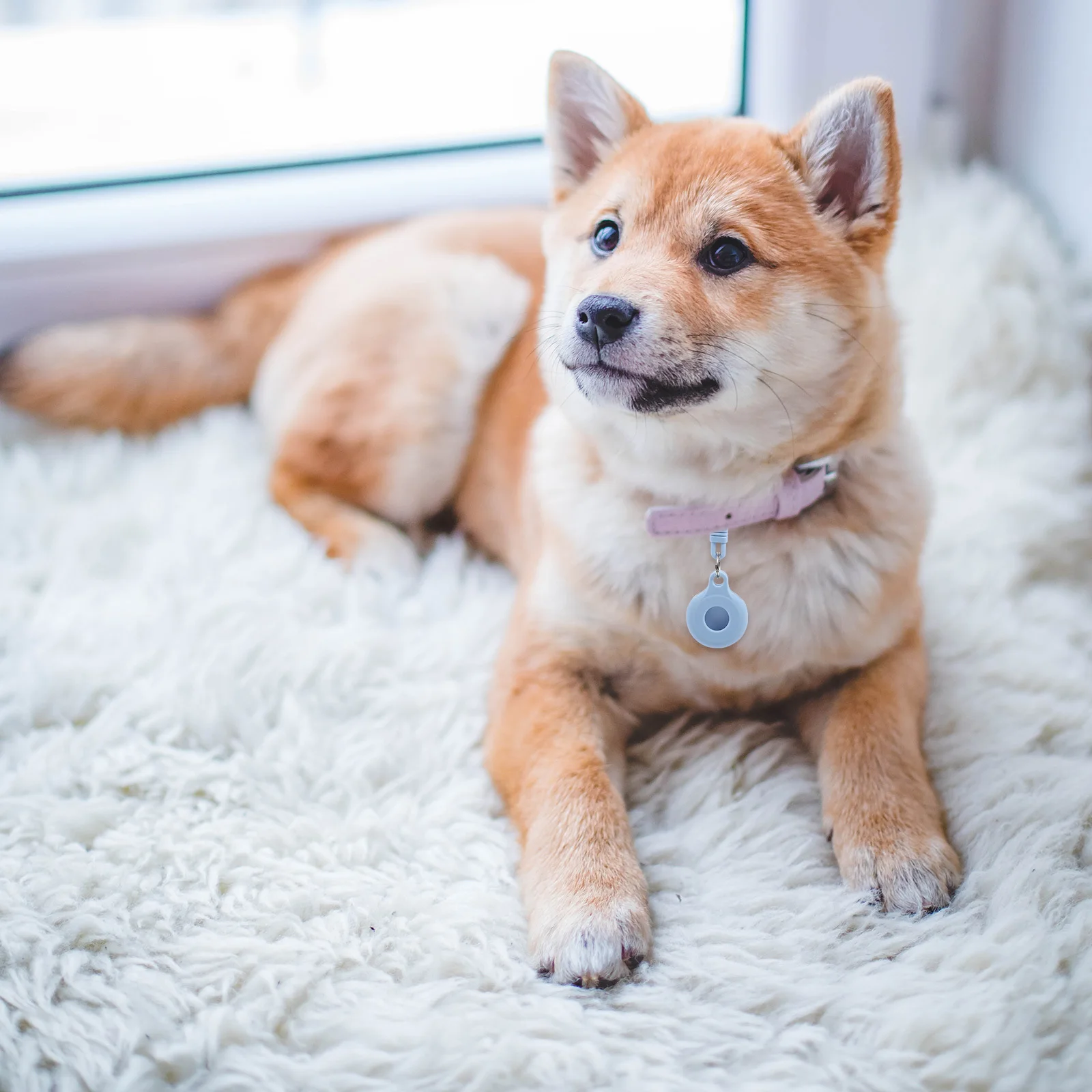 

4Pcs Pet Anti-Loss Protective Case Durable Silicone Tracer Sleeve Easy Carry Keychain Protection Cover for