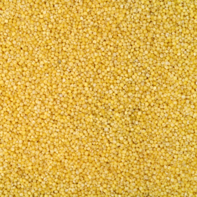 

Переднее сиденье RC автомобиля C, передняя чашка рулевого управления, комплект сидений заднего моста для Trxs 1/10 Slash 2WD, детали для обновления радиоуправляемого автомобиля, титан