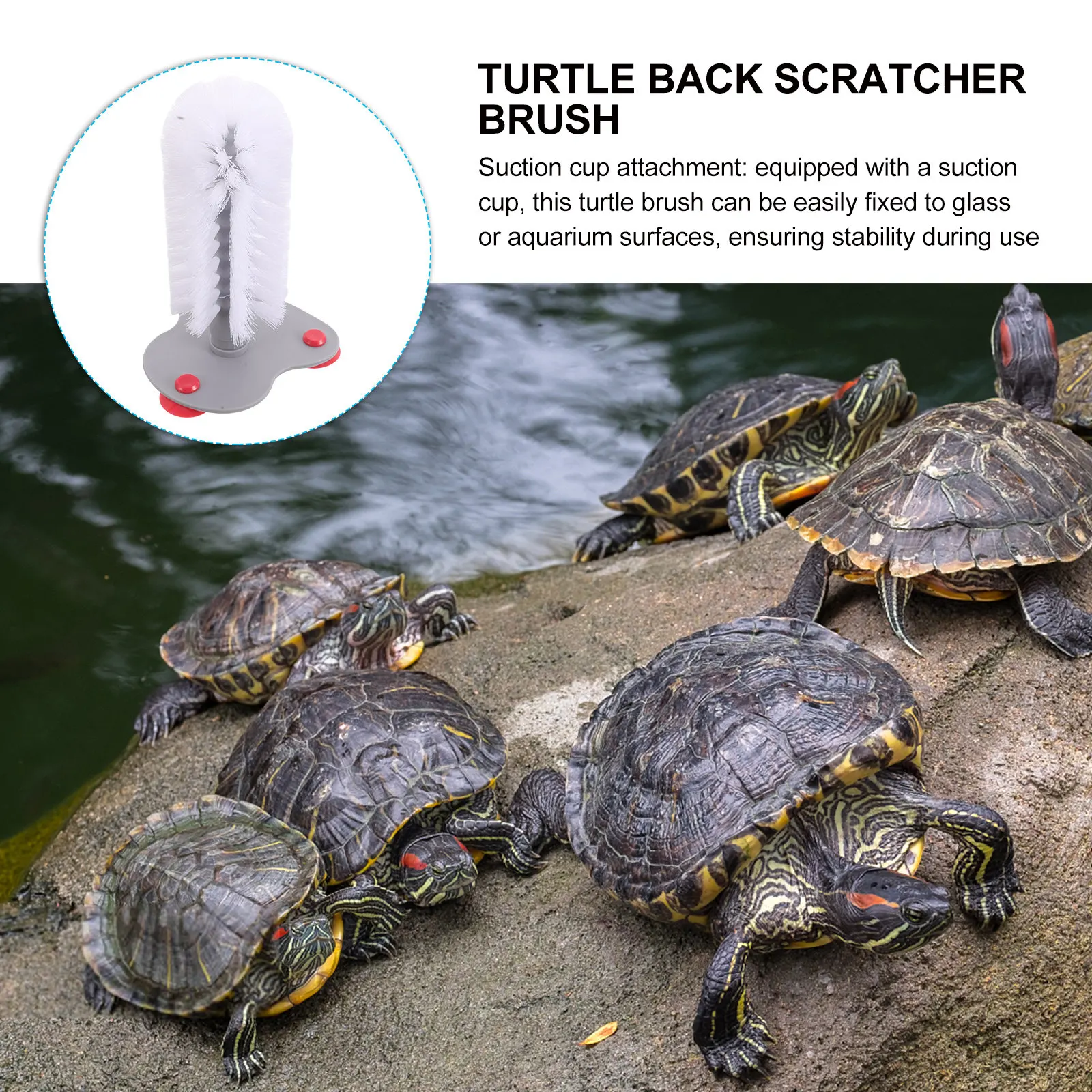 

Turtle Shell Cleaning Brush with Strong Suction Cup for Aquarium Tank Reusable Soft Bristle Back Scratcher for Aquatic Land