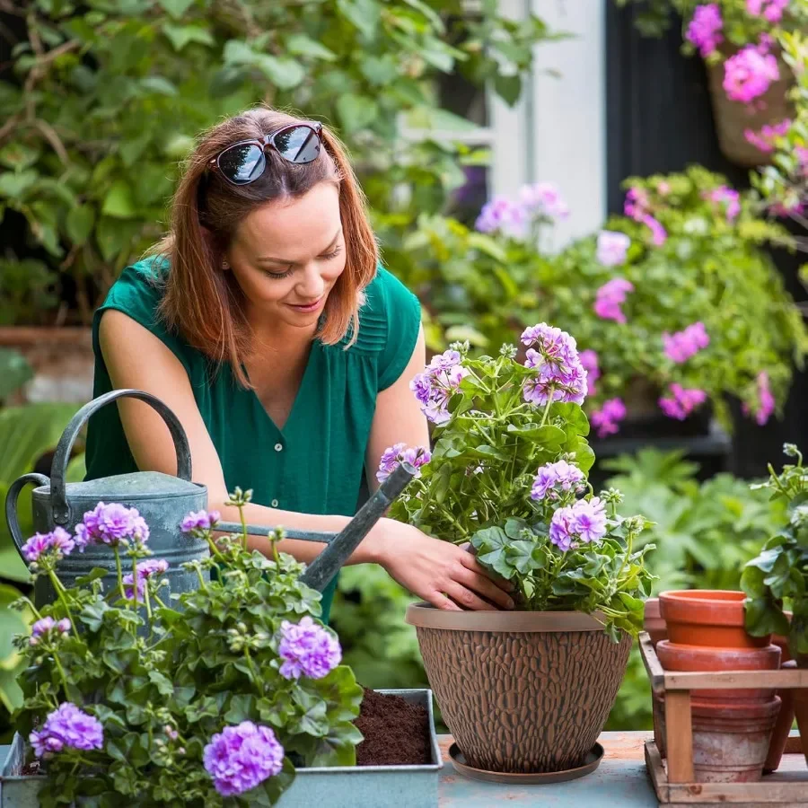 กระถางต้นไม้ขนาดเล็กน่ารักสำหรับไม้อวบน้ำ แพ็ค 5 ใบ สีขาว สำหรับปลูกในร่ม มีรูระบายน้ำ เหมาะสำหรับโต๊ะทำงานและตกแต่งบ้าน