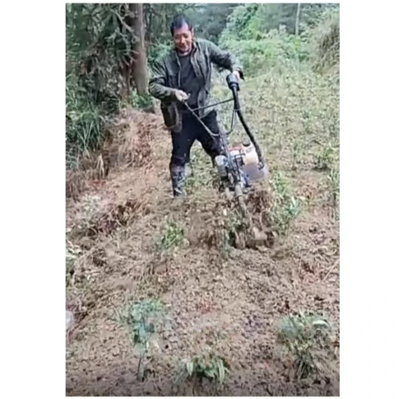 다기능 소형 경운기, 소형 가정용 온실 제초 및 회전 경운기