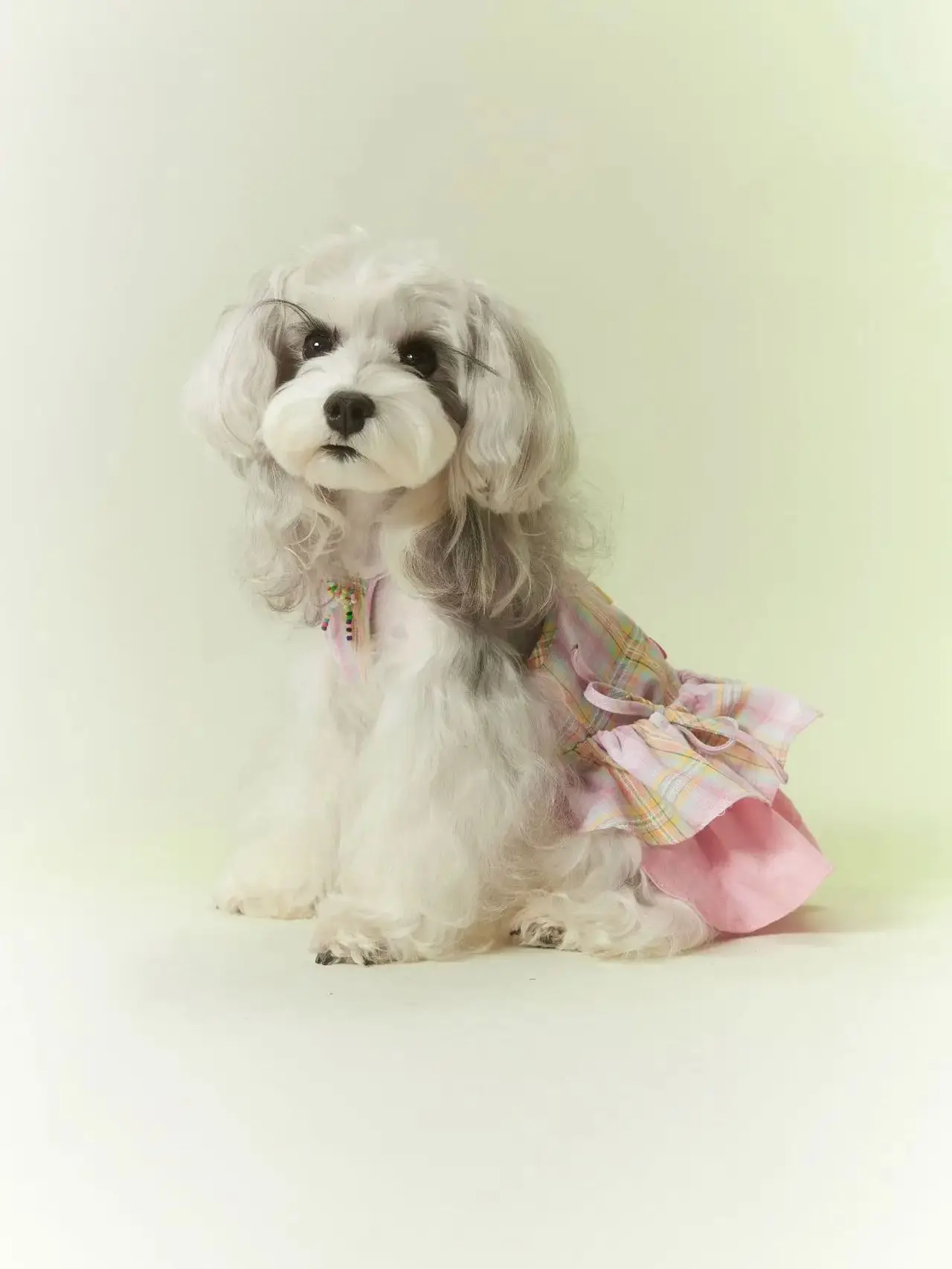 

Purple Sequin Dog Dress - Luxury Pet Princess Outfit for Small Dogs Yorkie Chihuahua