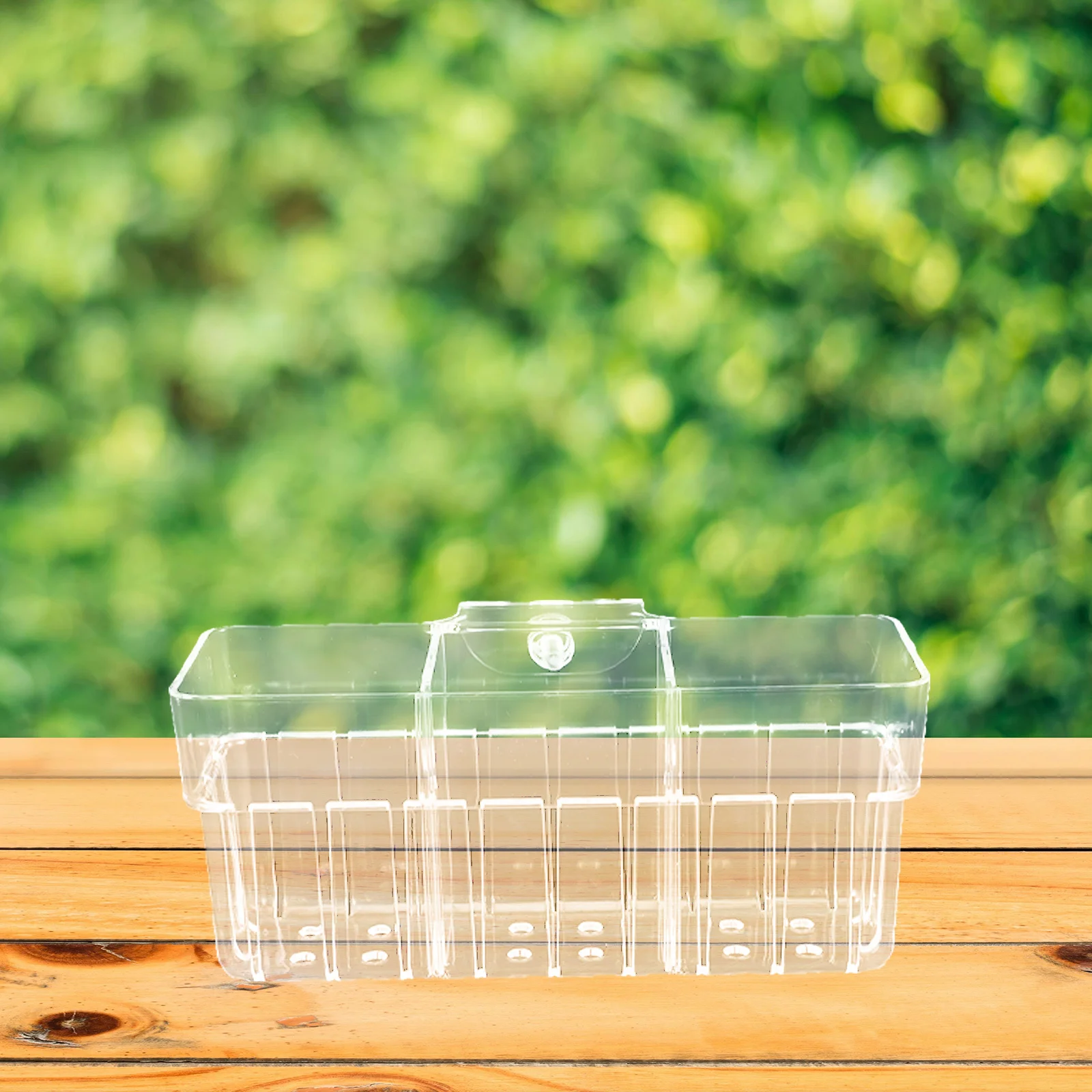 

Three Compartment Clear Hydroponic Plant Basket Wall Mounted Aquarium Holder Fish Tank Accessories Aeration Friendly