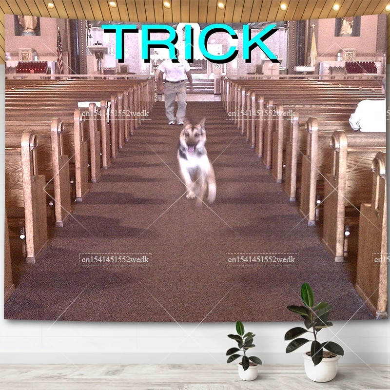 Alex G Trick Album Cover Tapestry Wall Art Posters Aesthetic Bedroom Decorative Print Tapestrys Macrame Farbic Tapestry For Room