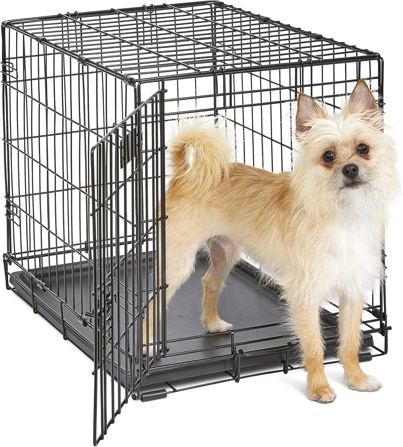 

Newly Enhanced Single Door iCrate Dog Crate, Includes Leak-Proof Pan, Floor Protecting Feet, Divider Panel