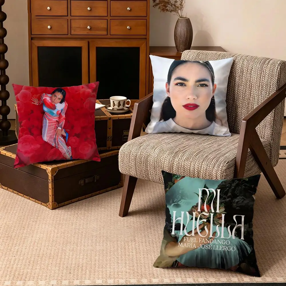 Celebrity-Maria Jose LlergoS Cushion Cover Soft Velvet Cushion Cover Set 4Pcs 50x50 45x45 Zipper Pillowcase for Home Decor