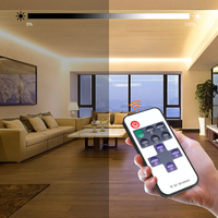 Dimmable LED Strip Lights With RF Remote Controller AC220V 110V To DC 12V Power Supply 2835 LED Strips Kitchen Lamp Waterproof
