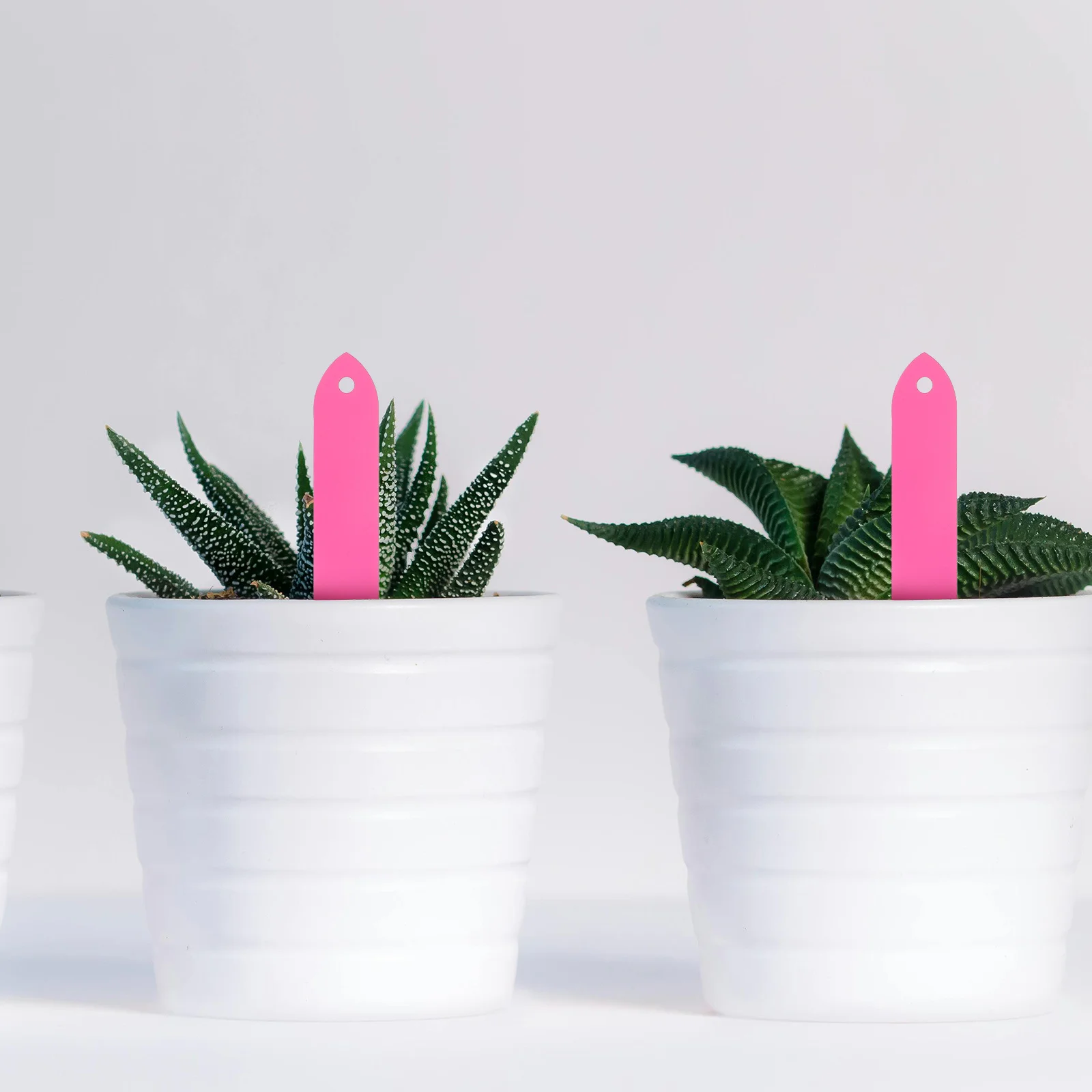 

100Pcs Plastic Garden Labels Durable Weather Resistant Plant Tags for Flower Pots Succulents Markers Indoor Outdoor Use