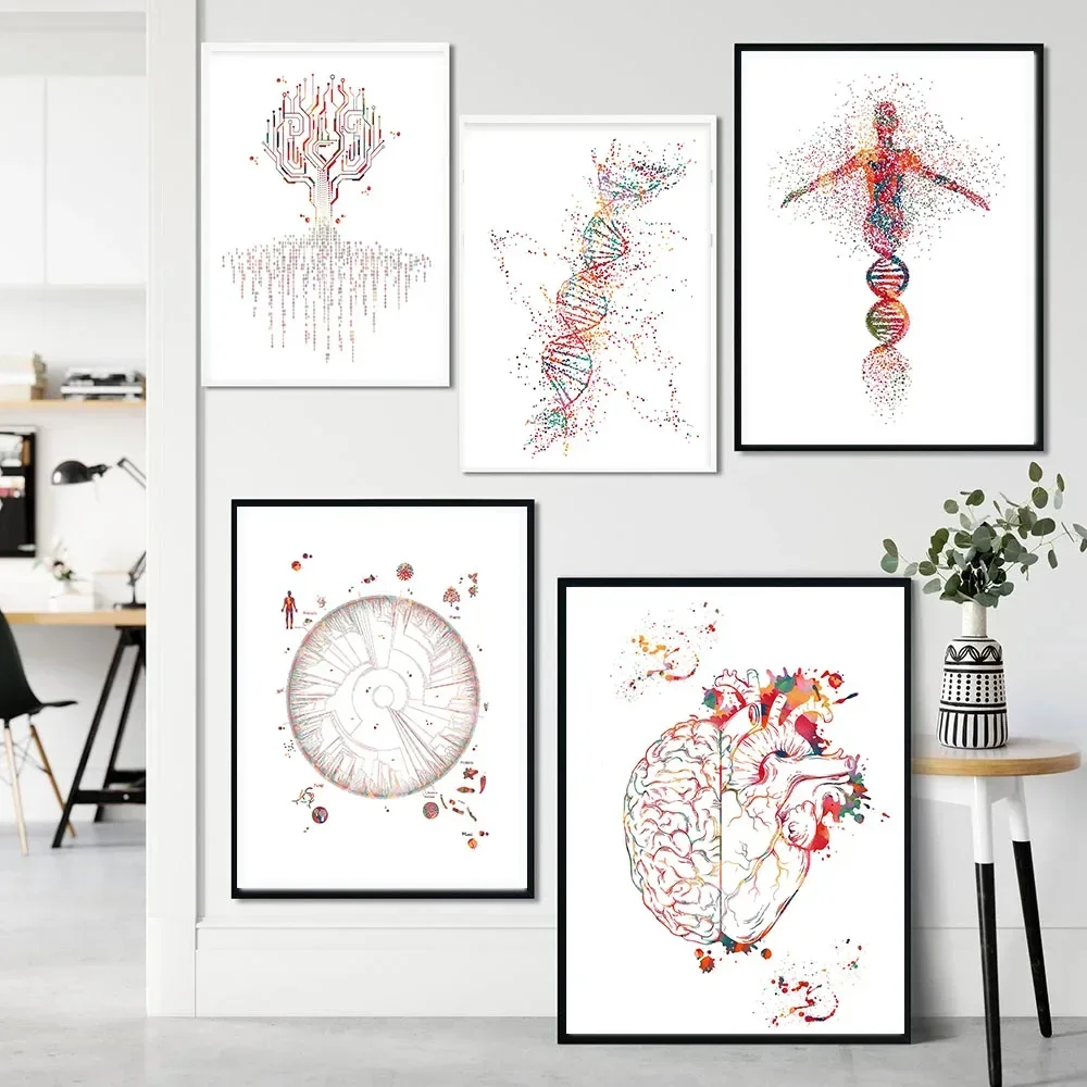 DNA Phylogenetic Tree Watercolors Art Print Medical Science Gift Decor Biology Office Double Helix DNA Trunk Poster Canvas Paint