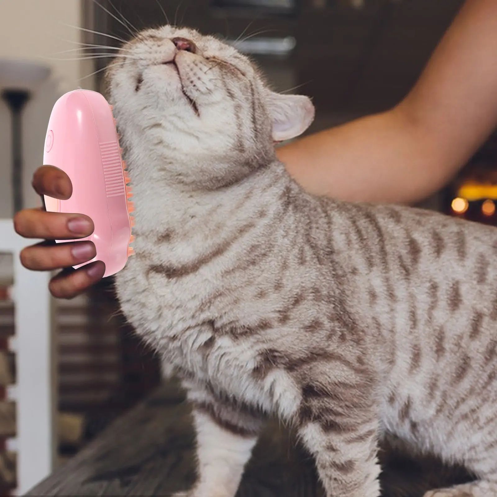 1Set Cat Steamer Br…