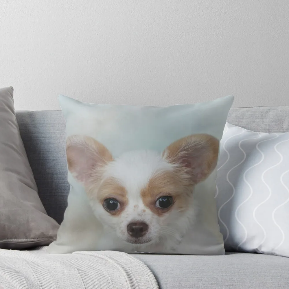 Brown and White Chihuahua Puppy 01 Throw Pillow Luxury Pillow Case Sofa Cushion Cushions Home Decor pillow