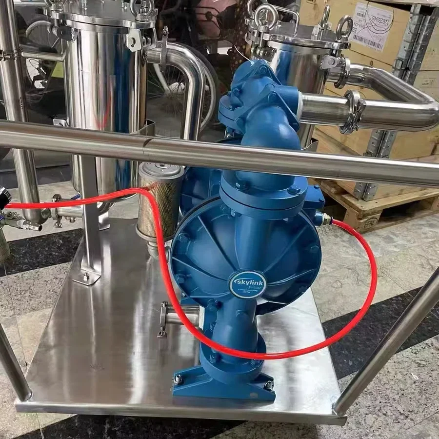 

Pneumatic Diaphragm Pump 1 Inch Pump LS25K,AA-AA-T/S-TT-TT-00 Food Grade Stainless Pneumatic Diaphragm Transfer Pump