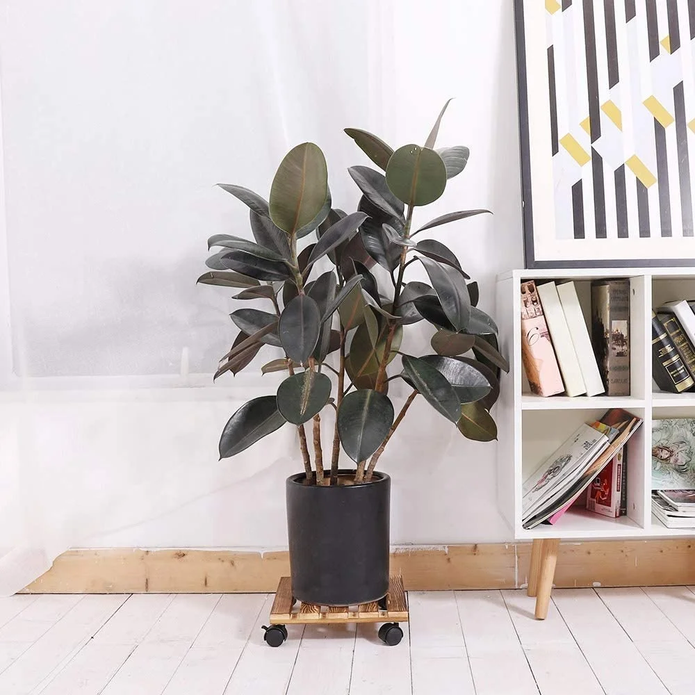 Factory Wholesale Price Flower Plant Caddy Square Wooden Plant Stand with Wheel Indoor Outdoor Garden on Roller Patio/Flower Pot