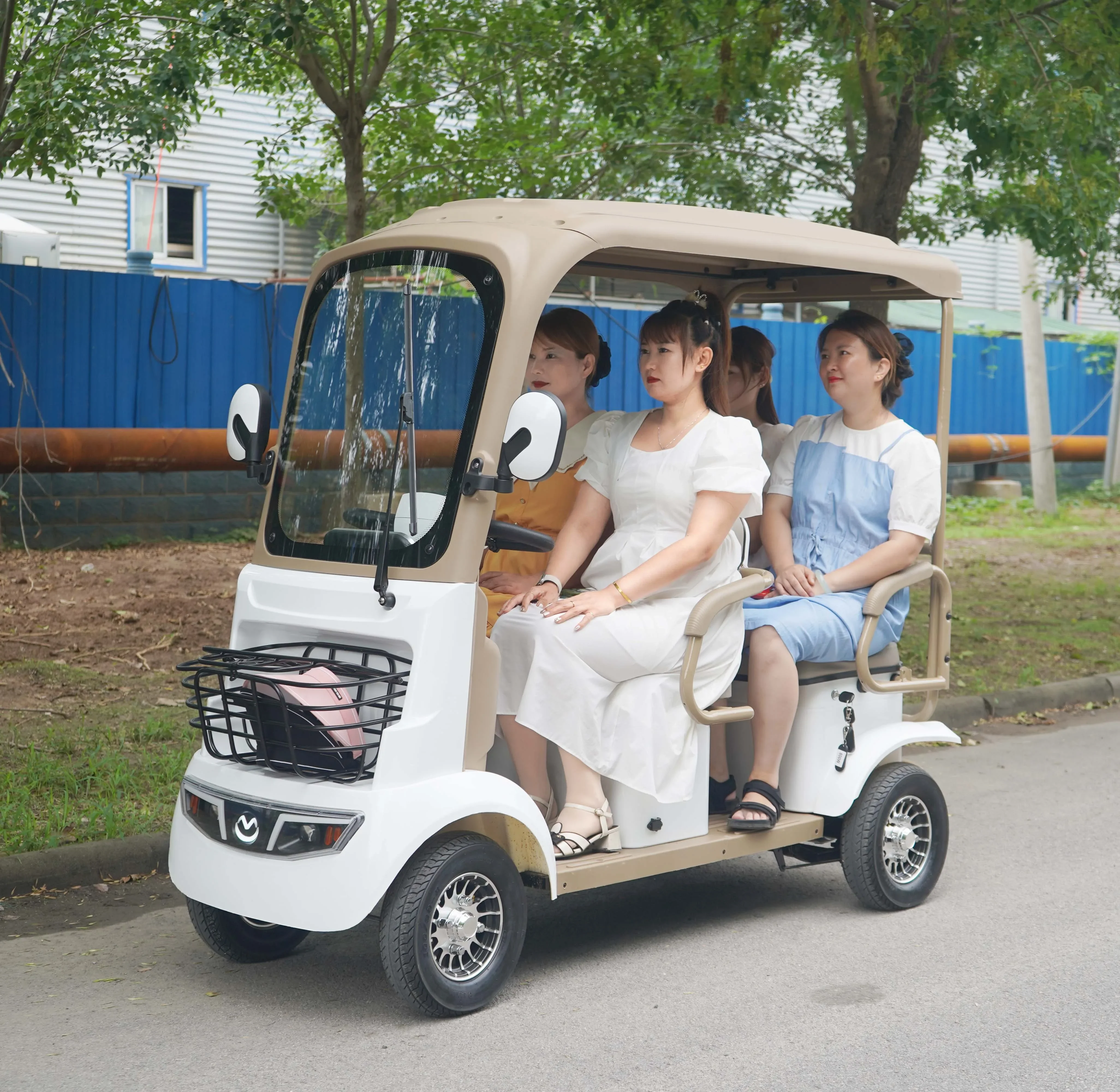 Factory Golf Carts 4 Wheel Moblity Scooters Family Travel Lithium-ion Battery Funfair Theme Park Electric Vehicles