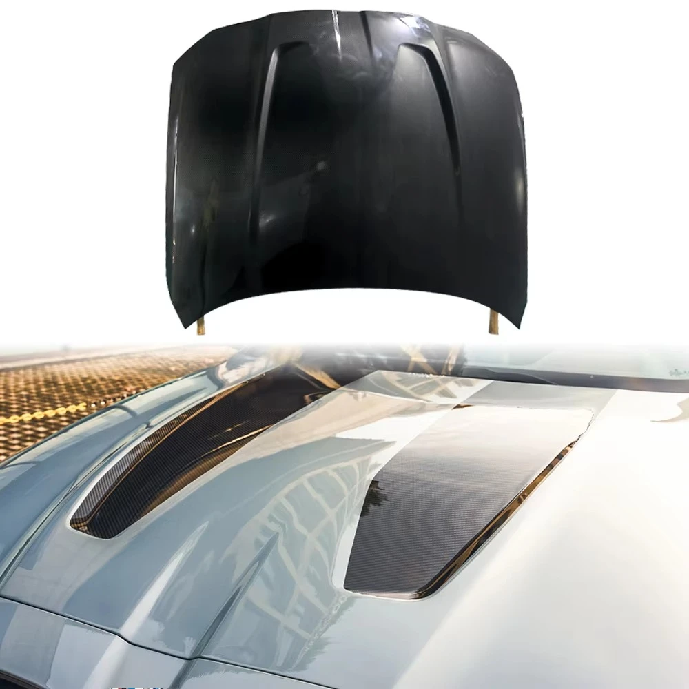 High Quality Dry Ca… - image