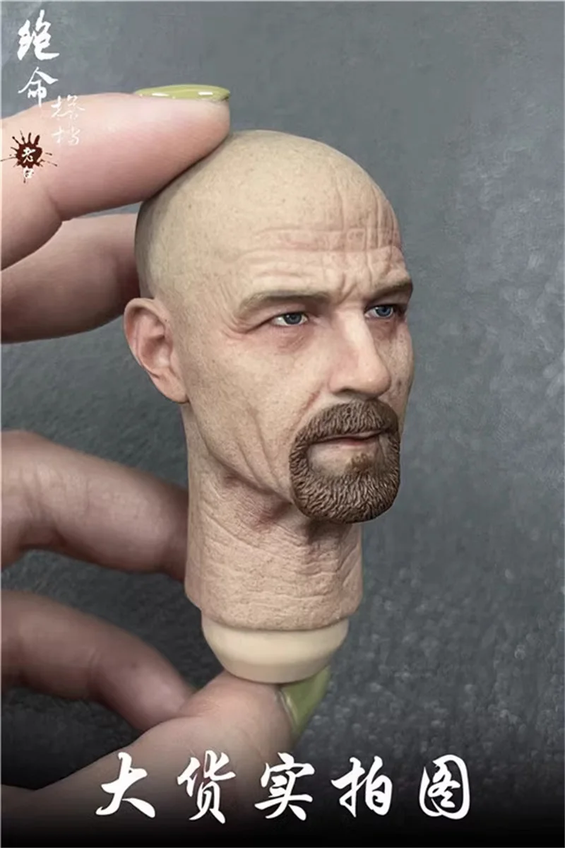 In magazzino 1/6 The Breaking Bad Series anziani White Guy Man Male Head Sculpt Carving per 12 "PH COO DAM Action Figure