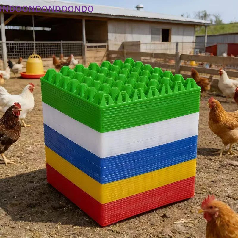 Reusable Plastic Egg Trays 5Pcs Heavy Duty Lightweight Egg Holders for Incubator Outdoor Egg Transport Home Storage