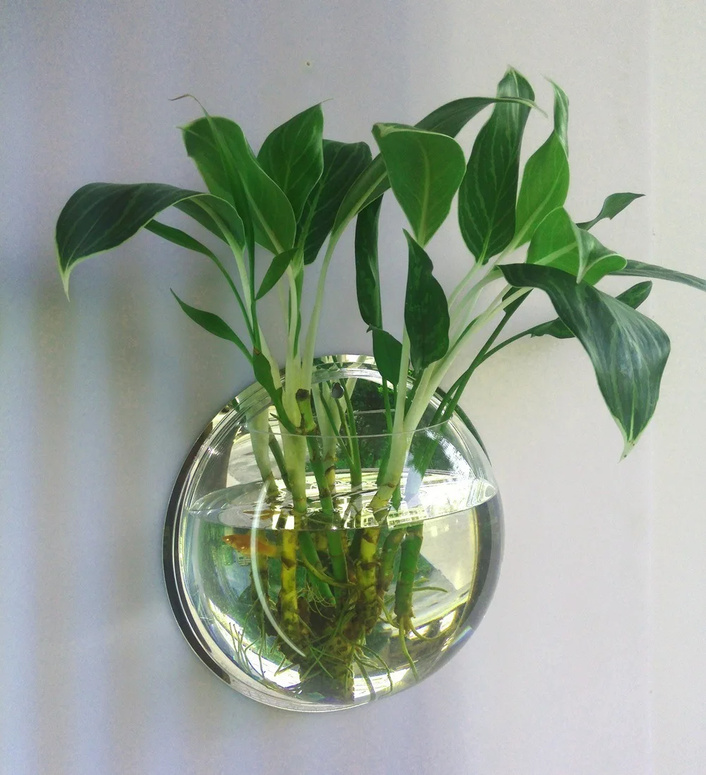 Glass Wall-Mounted Plant Greenhouse, Propagation Station, Wall-Mounted Vase, Air Plant Greenhouse, Home and Office Decor