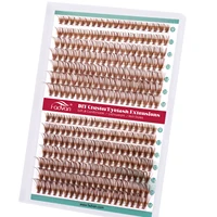 Fadvan Brown DIY Cluster Lashes Mix Color Individual Lashes Cluster Coloreado