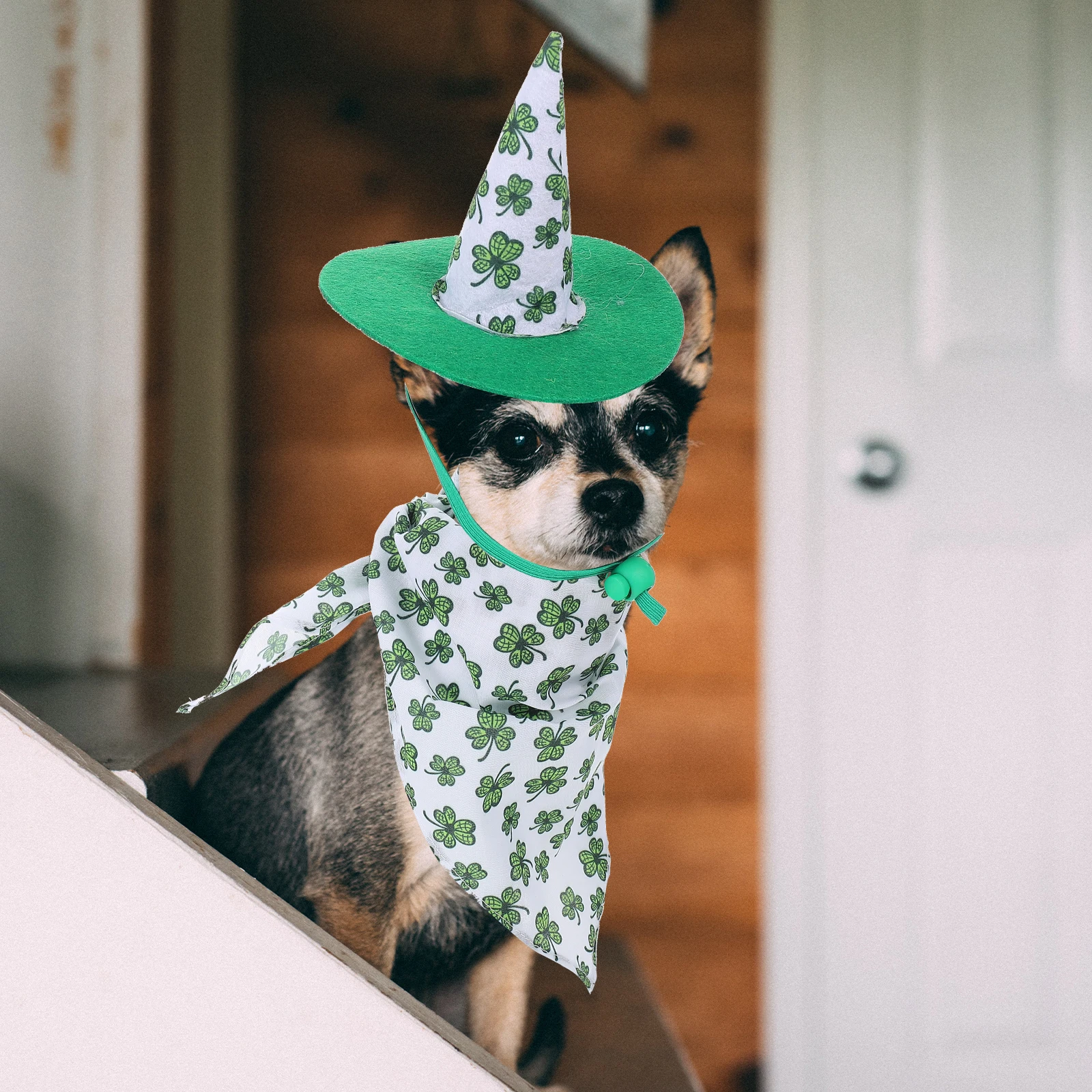 

1 set Fashionable Dog Collar And Hat Set Polyester St Patrick S Day Pet Accessories Festival Party Costume Props