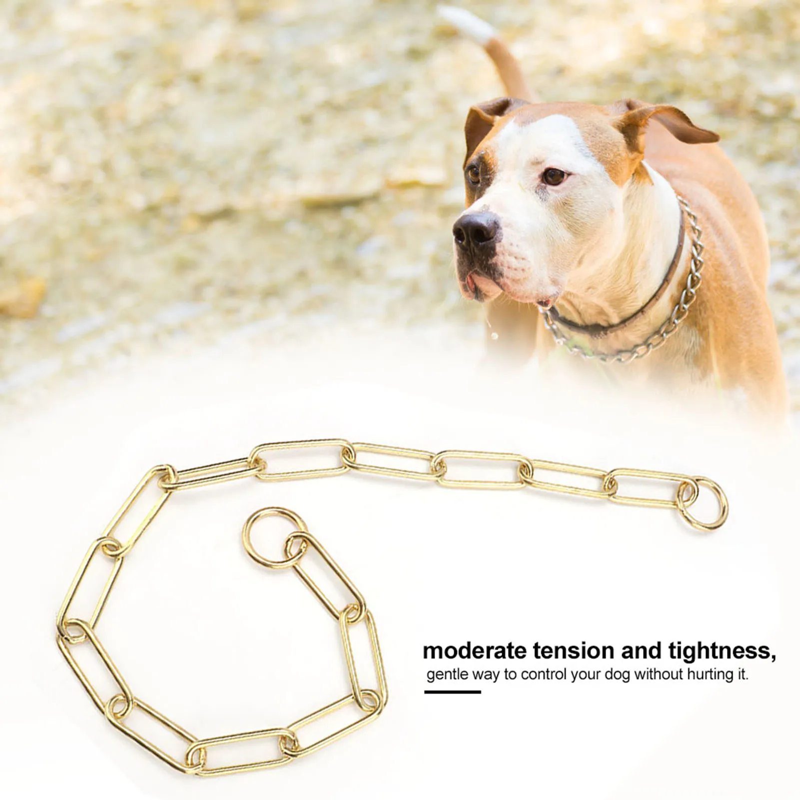 Solid Snake P Choke Chain Training Dog Pet Collars Lead For M L Dogs