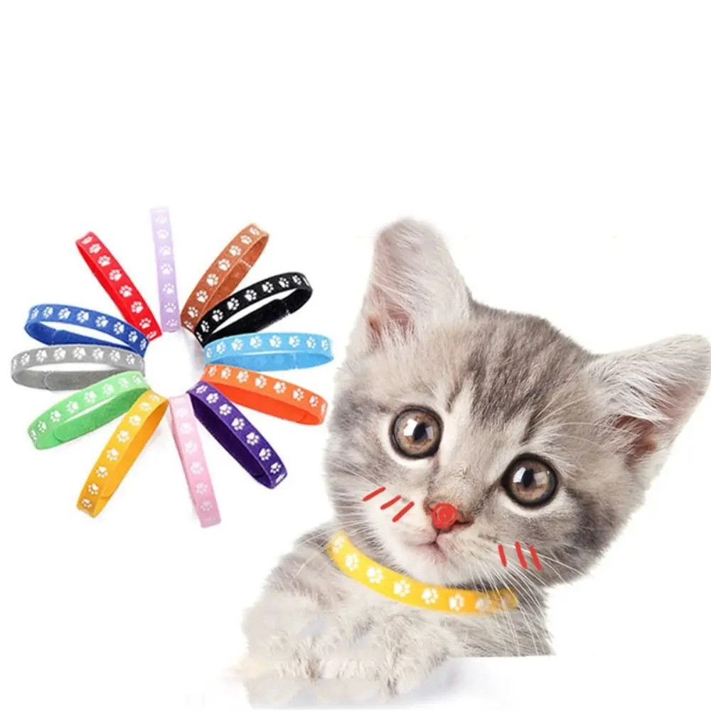 Adjustable Self-adhesive Pet Accessories Dog Necklace Puppy Birth Marker Kitten Classification Collar Pets Identify Collars