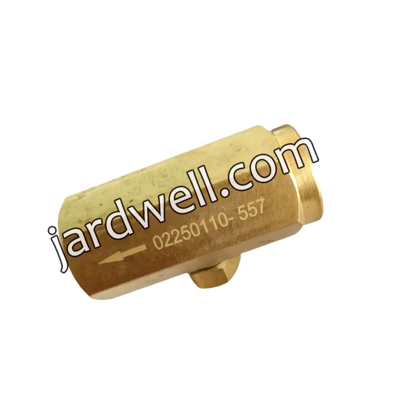 02250110-557 Sullair Check Valve,Sullair Non-return Valve