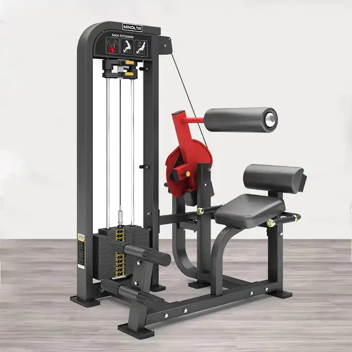 Back Extension Import Gym Equipment Shandong Fitness Equipment