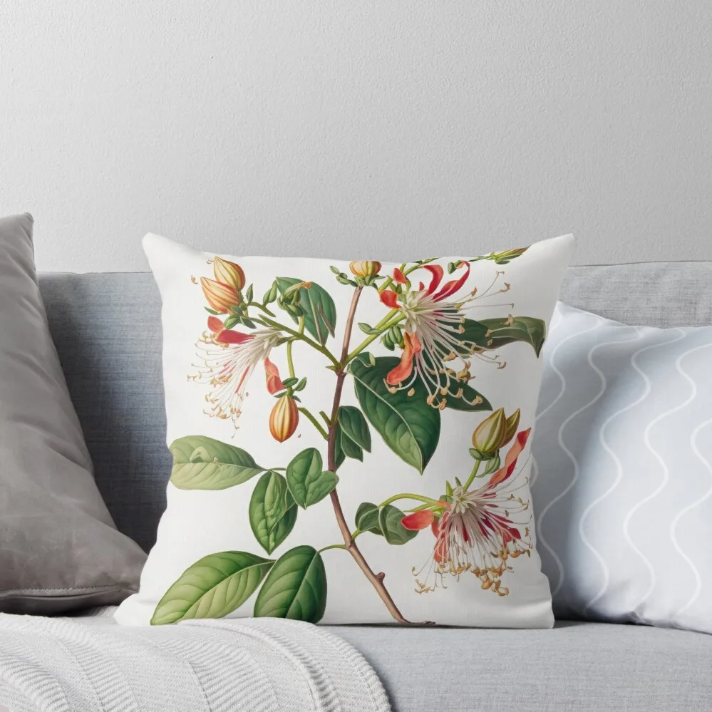 Honeysuckle Flowers Throw Pillow bed pillows Sofas Covers pillow